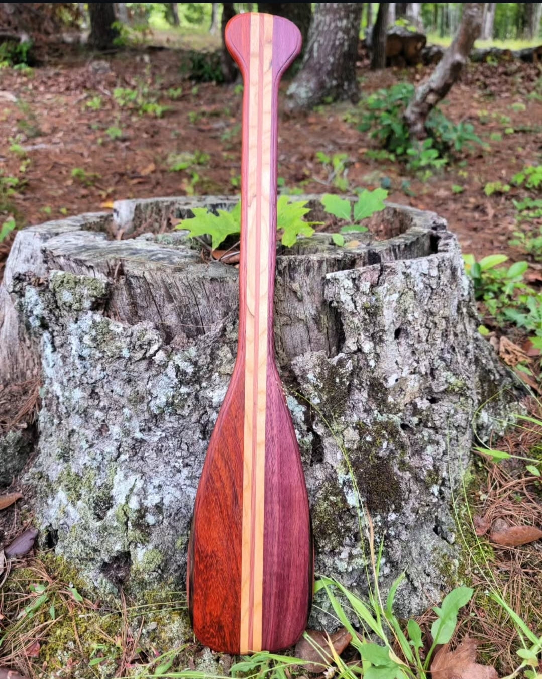 Mini Exotic Paddles