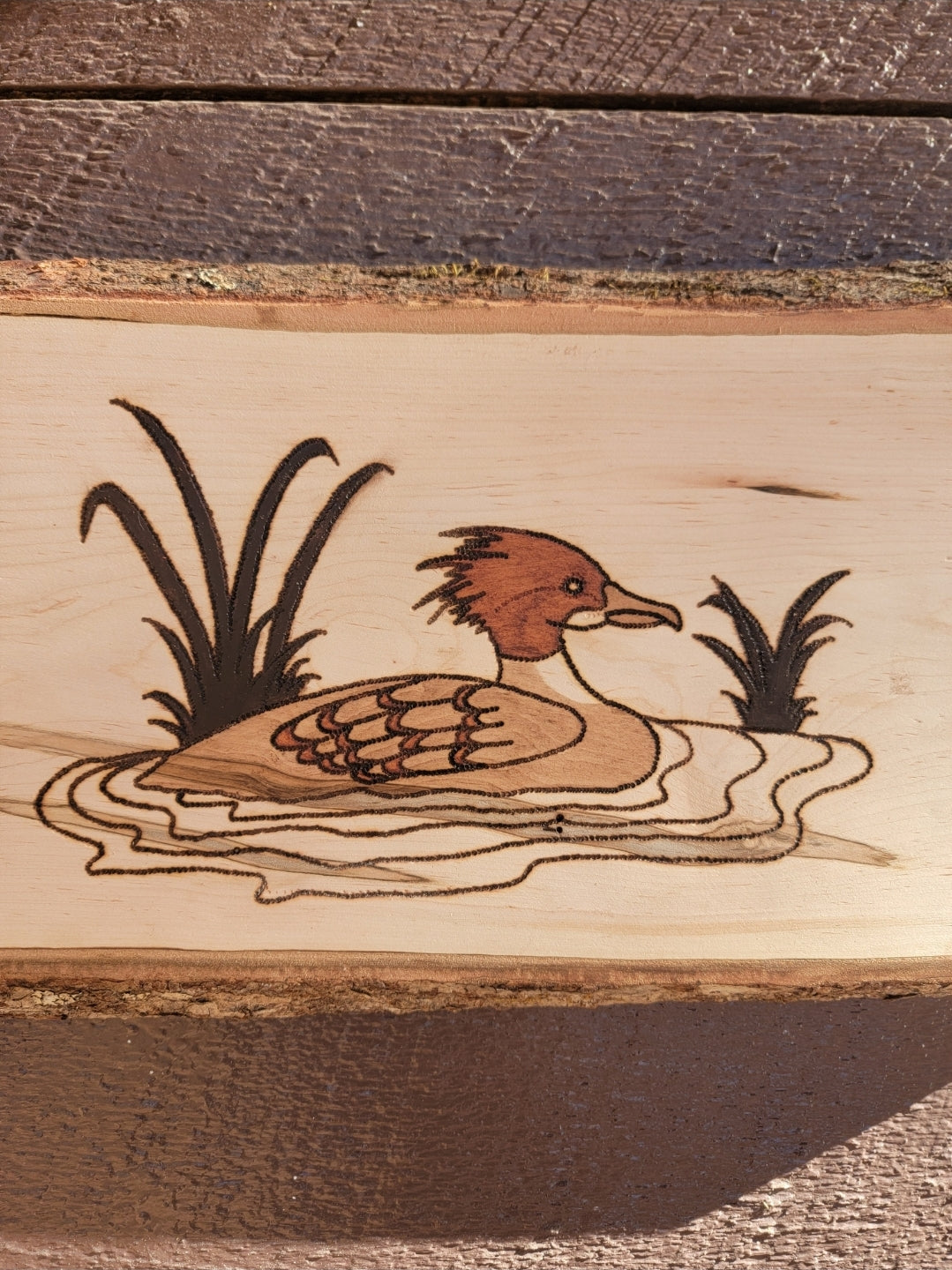 Merganser Wall Hanger