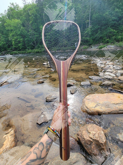 The Kingfisher Net