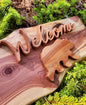 Welcome Sign Bear