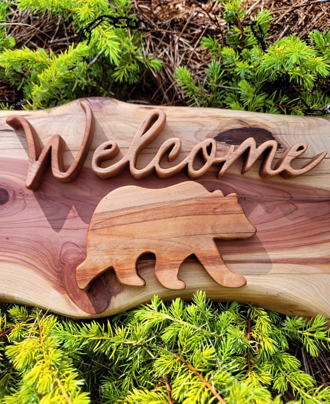 Welcome Sign Bear