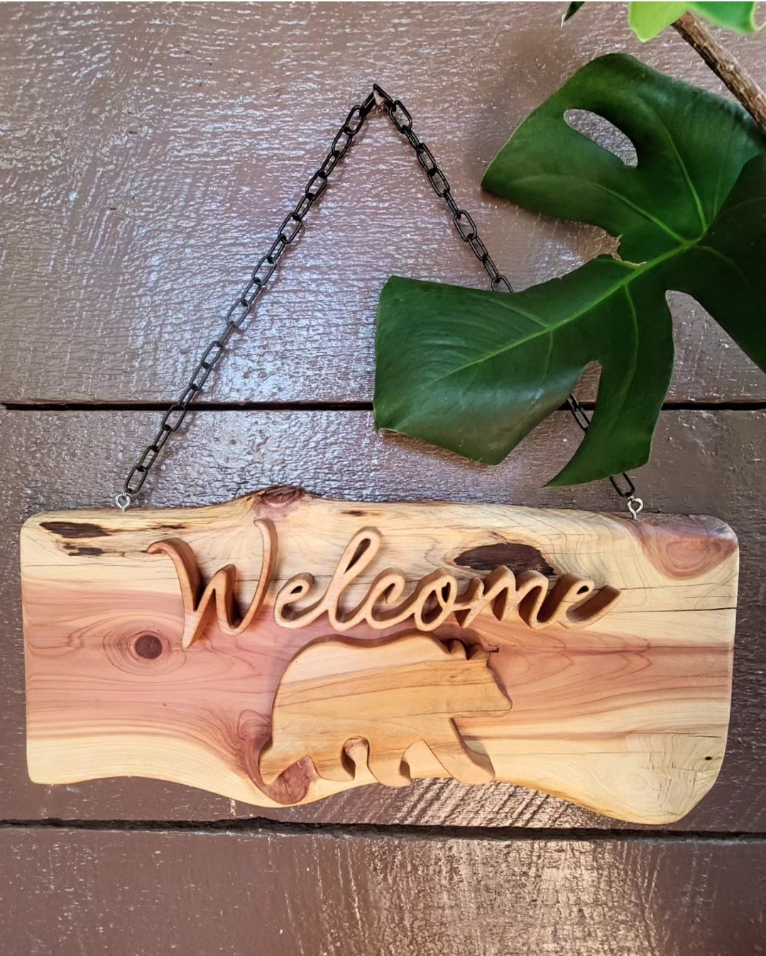 Welcome Sign Bear