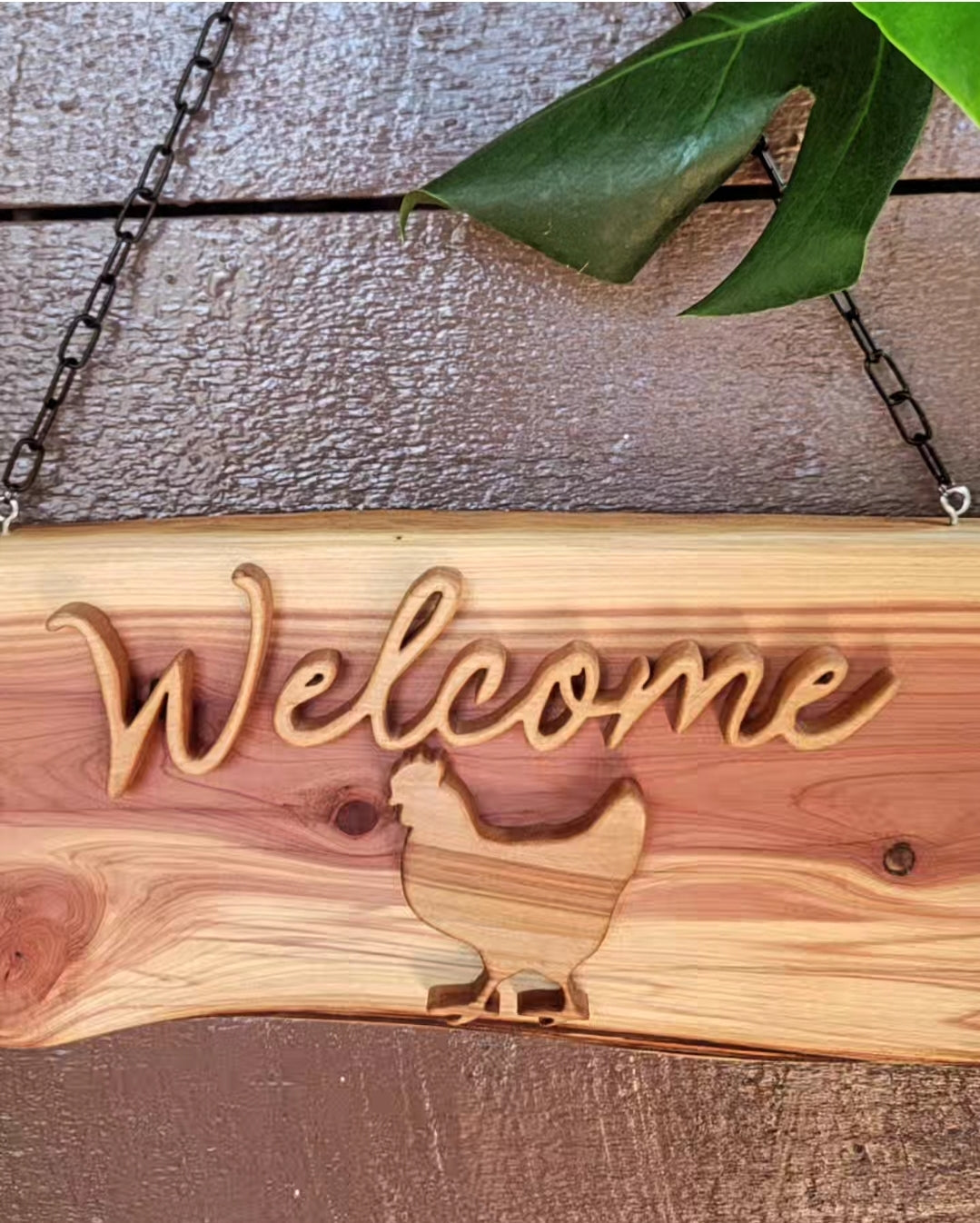 Welcome Sign Chicken