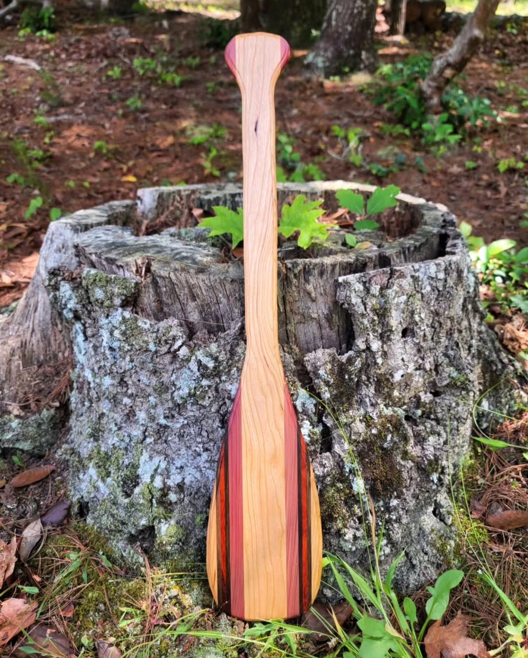 Mini Exotic Paddles