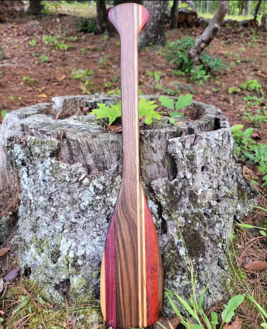 Mini Exotic Paddles