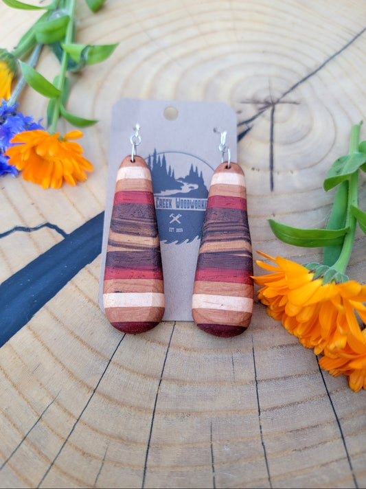 Exotic Wood Earrings  EE06