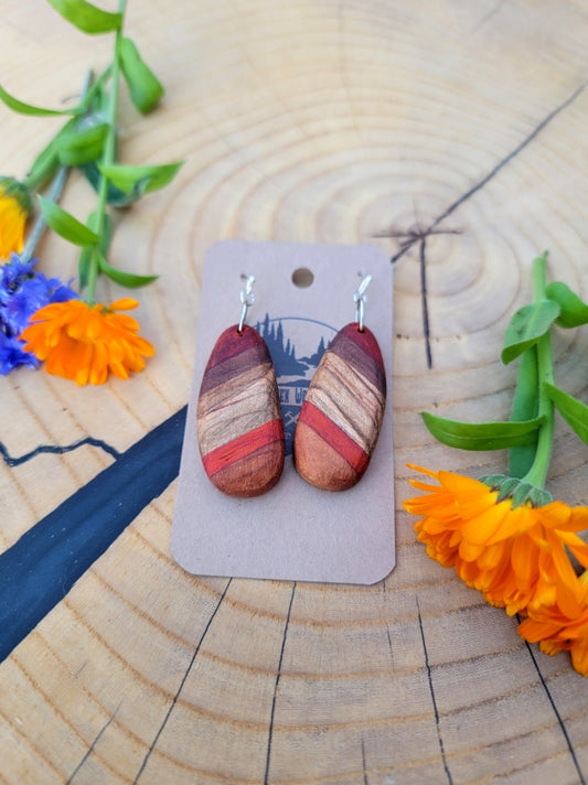 Exotic Wood Earrings  EE09