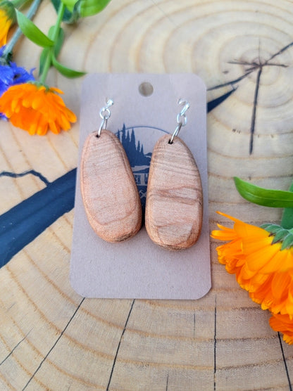 Exotic Wood Earrings  EE21