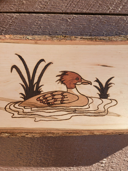 Merganser Wall Hanger