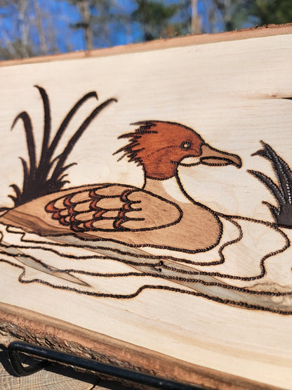 Merganser Wall Hanger