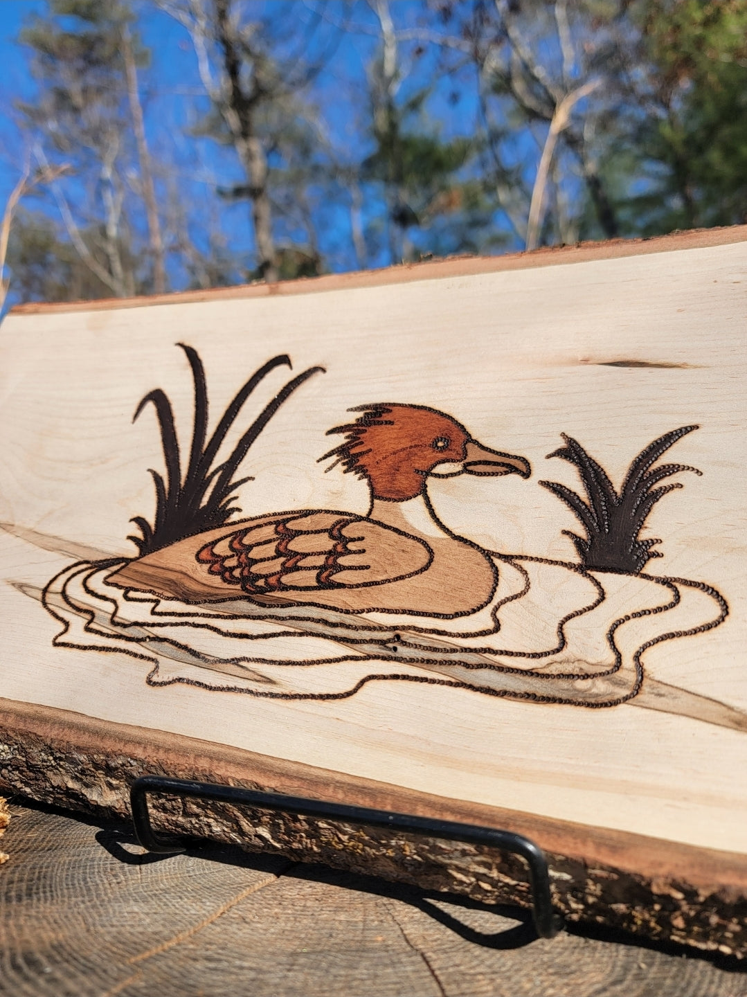 Merganser Wall Hanger