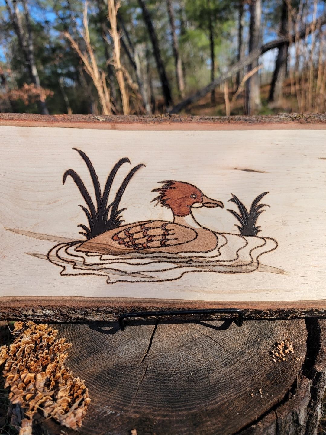 Merganser Wall Hanger