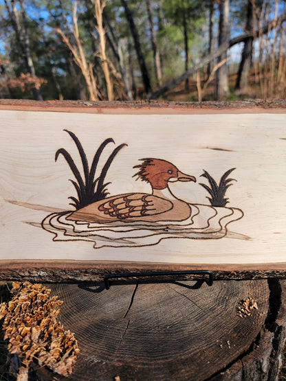 Merganser Wall Hanger