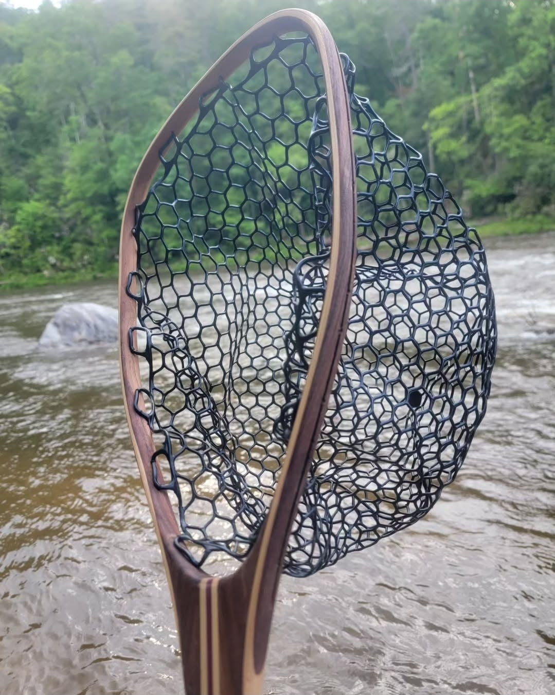 The Kingfisher Net