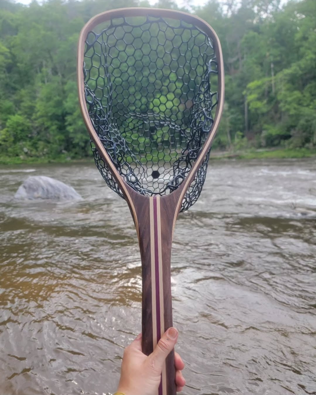 The Kingfisher Net